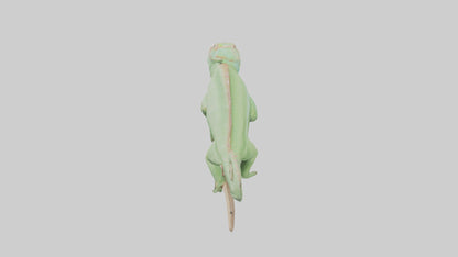 Parsons Chameleon displaying model VR / AR / low-poly