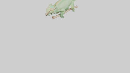 Parsons Chameleon displaying model VR / AR / low-poly