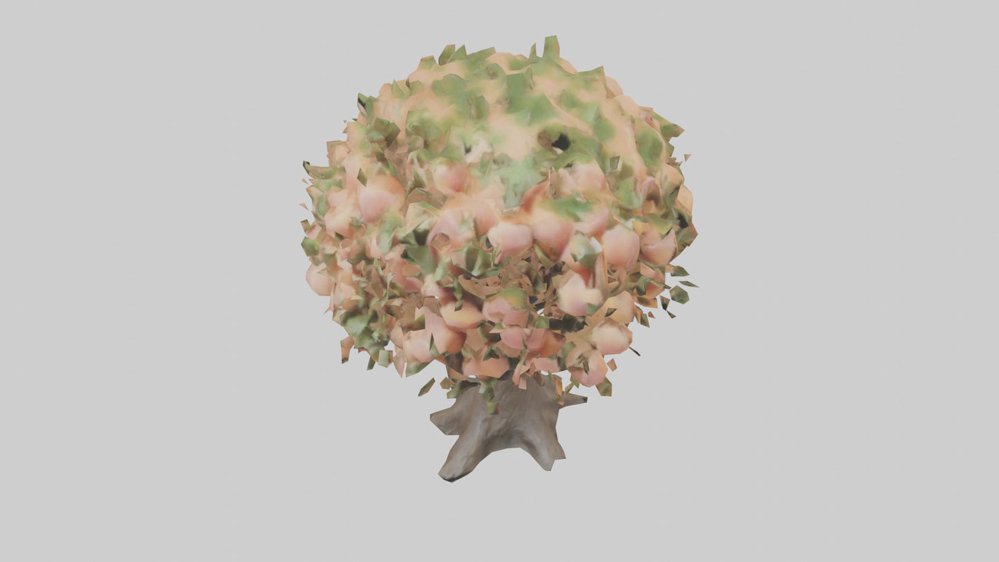 3D model Peach tree model VR / AR / low-poly