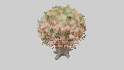 3D model Peach tree model VR / AR / low-poly