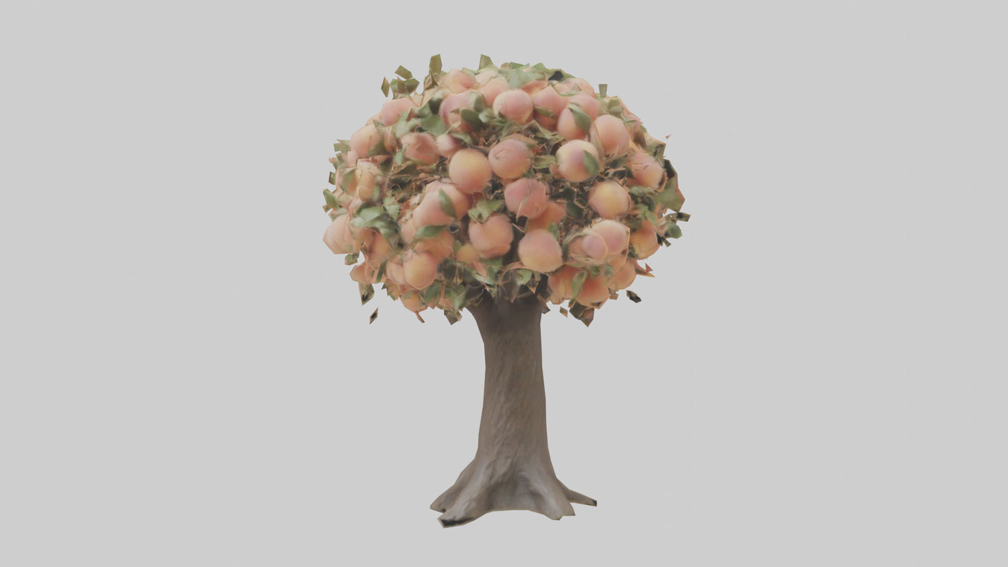 3D model Peach tree model VR / AR / low-poly