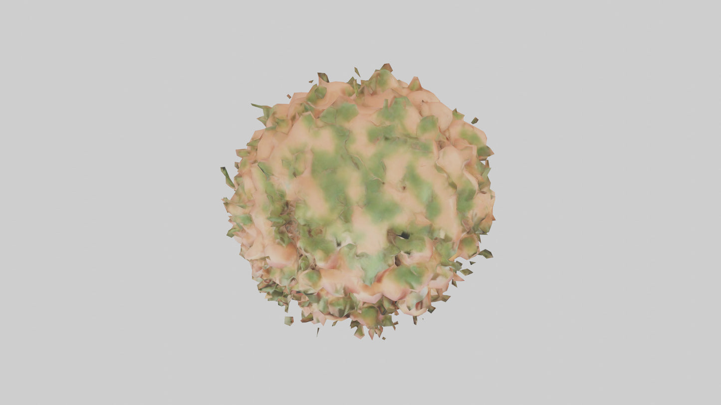 3D model Peach tree model VR / AR / low-poly