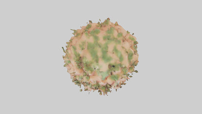 3D model Peach tree model VR / AR / low-poly