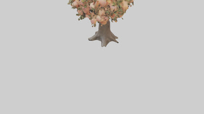 3D model Peach tree model VR / AR / low-poly