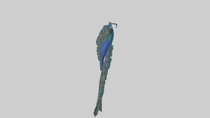 3D model Peacock Lungs VR / AR / low-poly