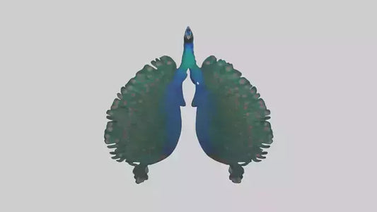 3D model Peacock Lungs VR / AR / low-poly