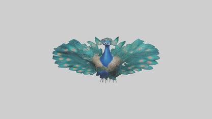 3D model Peacock spreading feathers model VR / AR / low-poly
