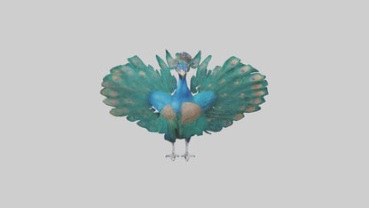 3D model Peacock spreading feathers model VR / AR / low-poly