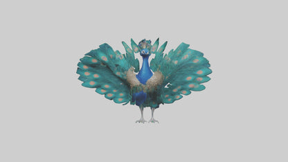 3D model Peacock spreading feathers model VR / AR / low-poly