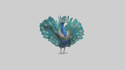 3D model Peacock spreading feathers model VR / AR / low-poly
