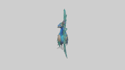 3D model Peacock spreading feathers model VR / AR / low-poly