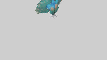 3D model Peacock spreading feathers model VR / AR / low-poly
