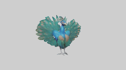 3D model Peacock spreading feathers model VR / AR / low-poly