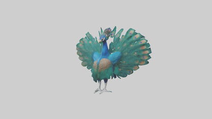3D model Peacock spreading feathers model VR / AR / low-poly