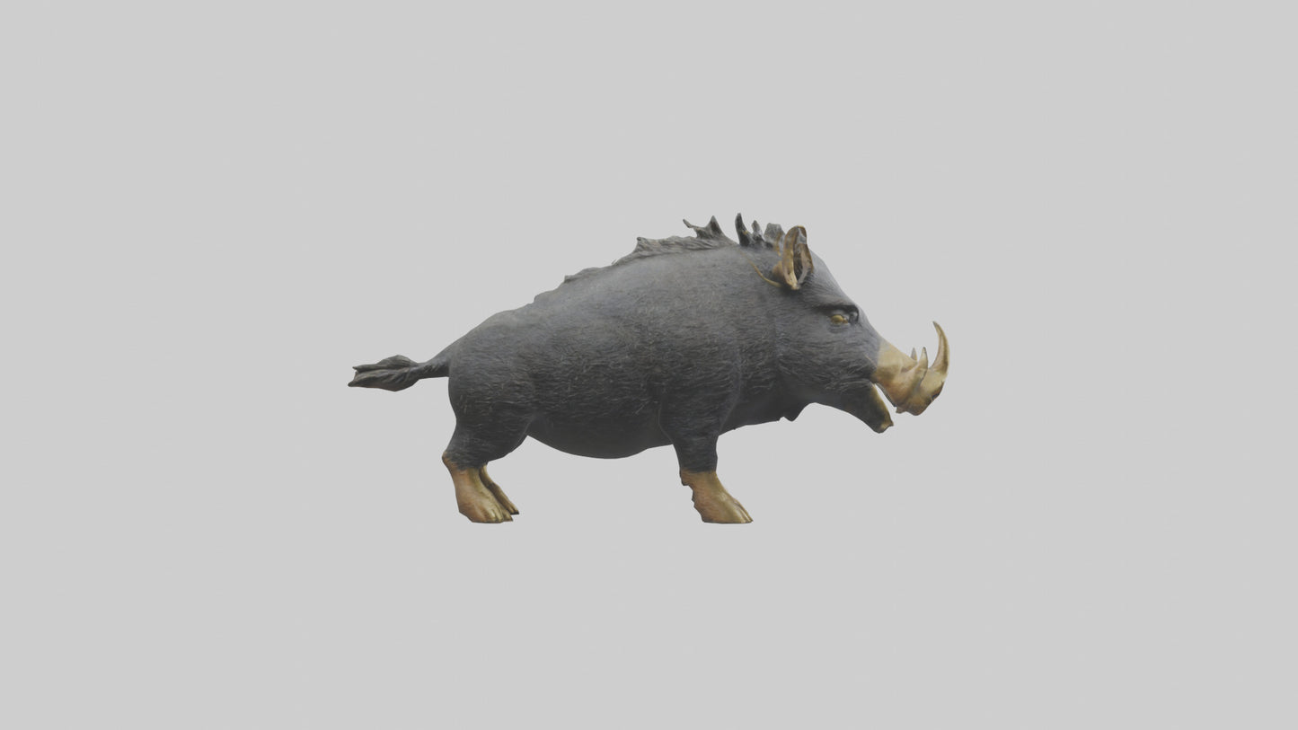 3D model Peccary statue model VR / AR / low-poly