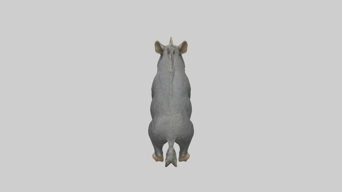 3D model Peccary statue model VR / AR / low-poly
