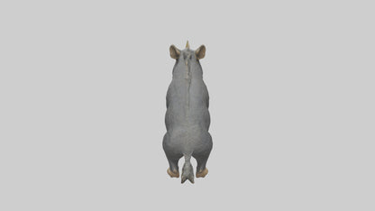 3D model Peccary statue model VR / AR / low-poly
