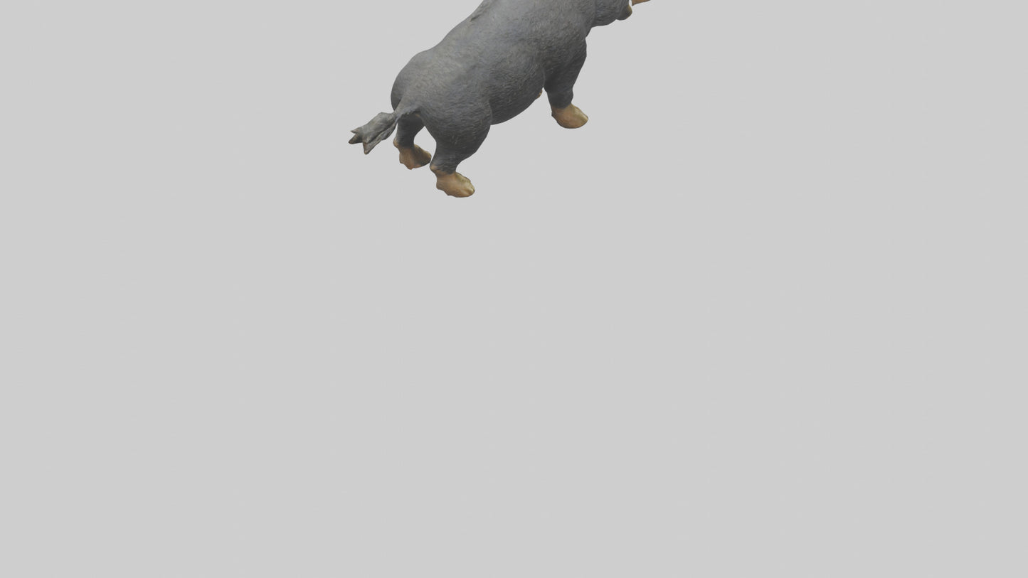 3D model Peccary statue model VR / AR / low-poly