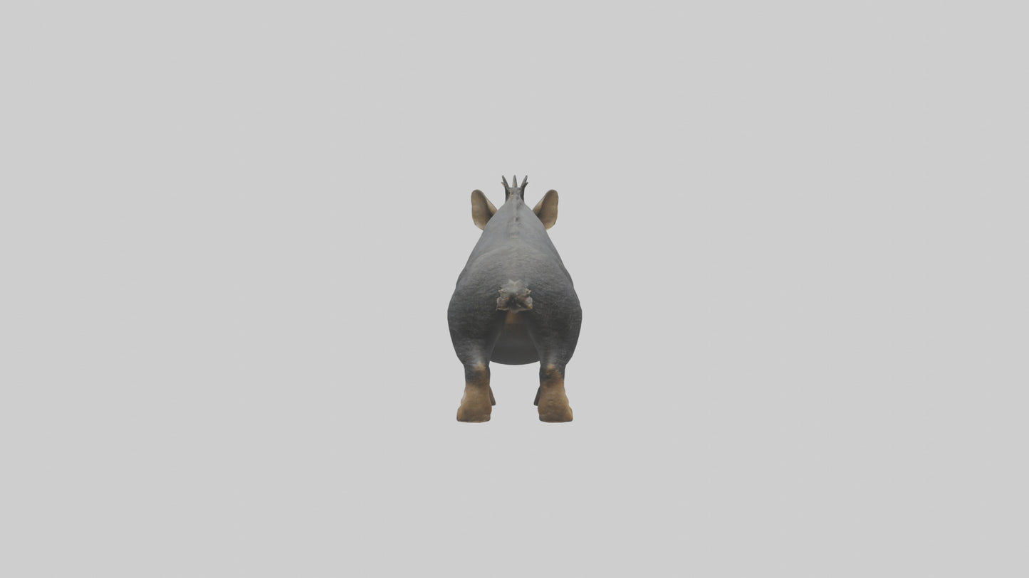 3D model Peccary statue model VR / AR / low-poly