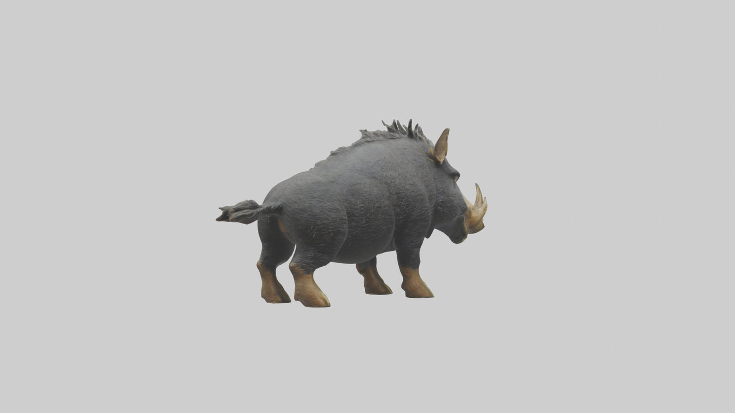 3D model Peccary statue model VR / AR / low-poly