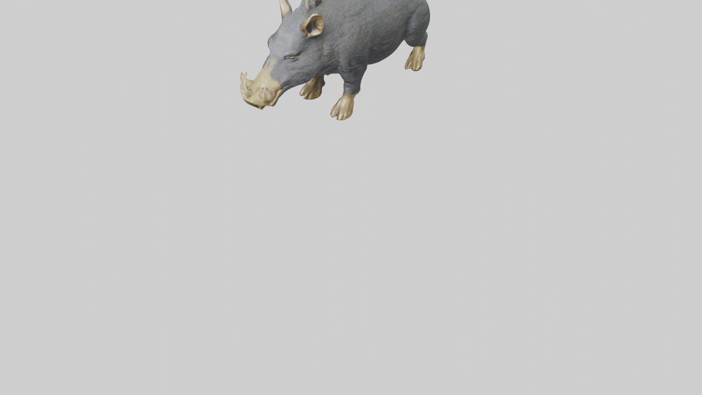 3D model Peccary statue model VR / AR / low-poly