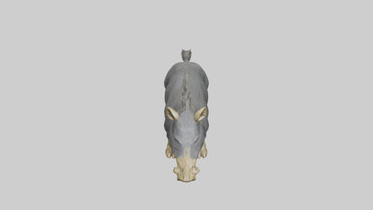 3D model Peccary statue model VR / AR / low-poly