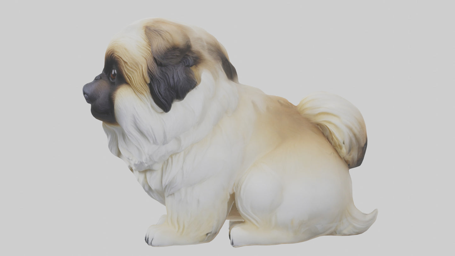 3D model Pekingese Dog sitting model VR / AR / low-poly