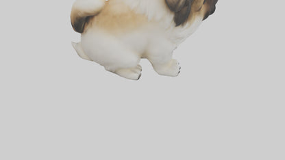 3D model Pekingese Dog sitting model VR / AR / low-poly
