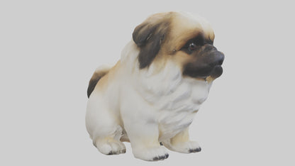 3D model Pekingese Dog sitting model VR / AR / low-poly