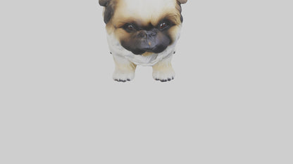 3D model Pekingese Dog sitting model VR / AR / low-poly