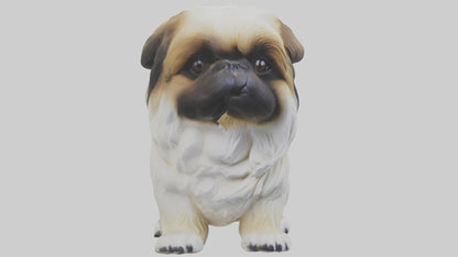 3D model Pekingese Dog sitting model VR / AR / low-poly