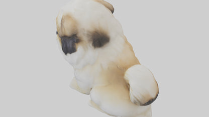 3D model Pekingese Dog sitting model VR / AR / low-poly