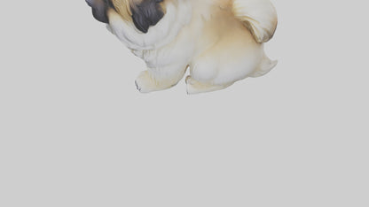 3D model Pekingese Dog sitting model VR / AR / low-poly