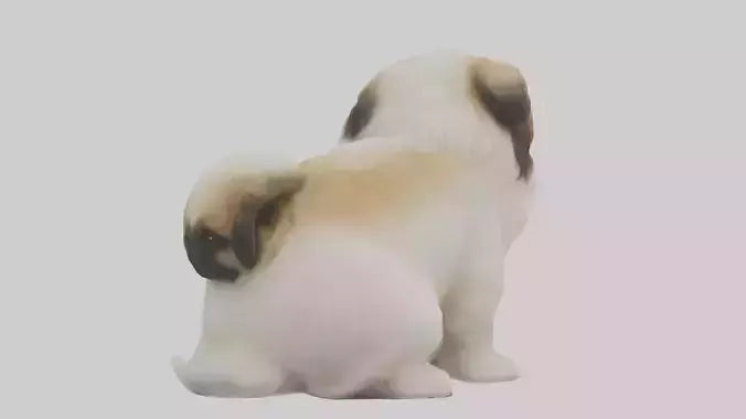 3D model Pekingese Dog sitting model VR / AR / low-poly