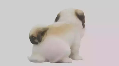 3D model Pekingese Dog sitting model VR / AR / low-poly