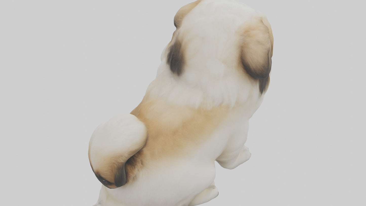 3D model Pekingese Dog sitting model VR / AR / low-poly