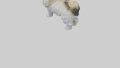 3D model Pekingese statue model VR / AR / low-poly