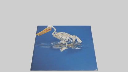 3D model Pelican Skeleton model VR / AR / low-poly