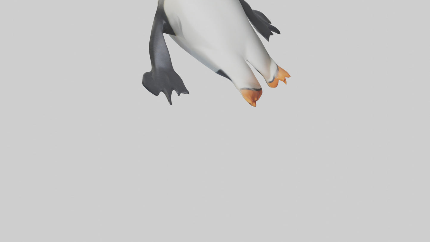 3D model Penguin sliding on belly model VR / AR / low-poly
