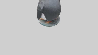 Penguin statue model VR / AR / low-poly