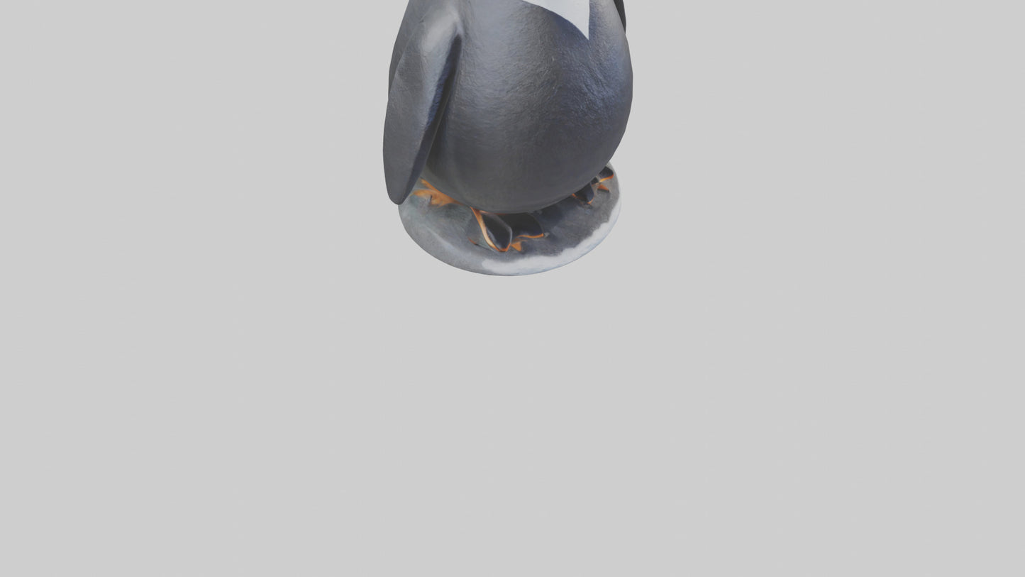Penguin statue model VR / AR / low-poly