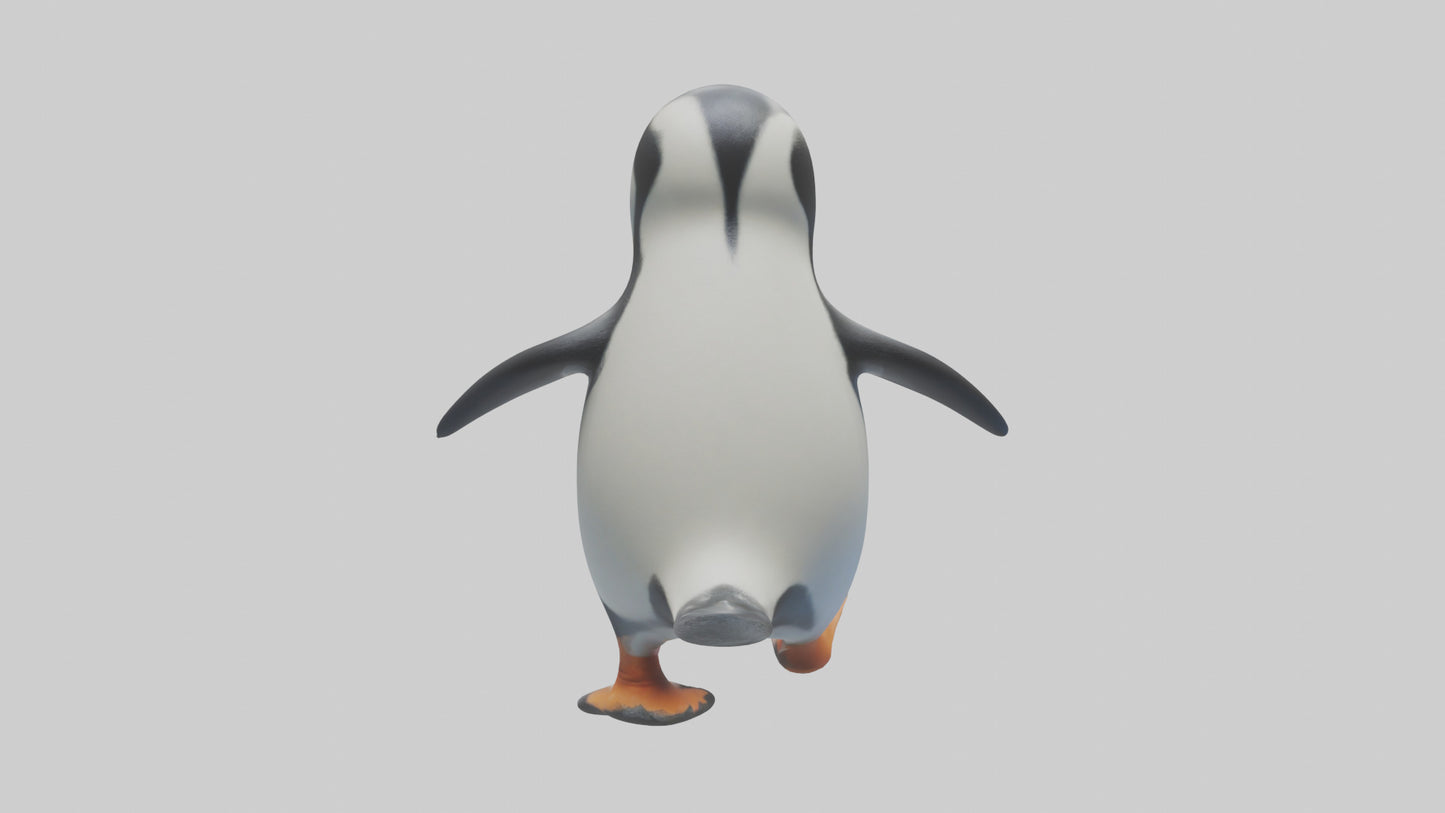 3D model Penguin waddling model VR / AR / low-poly