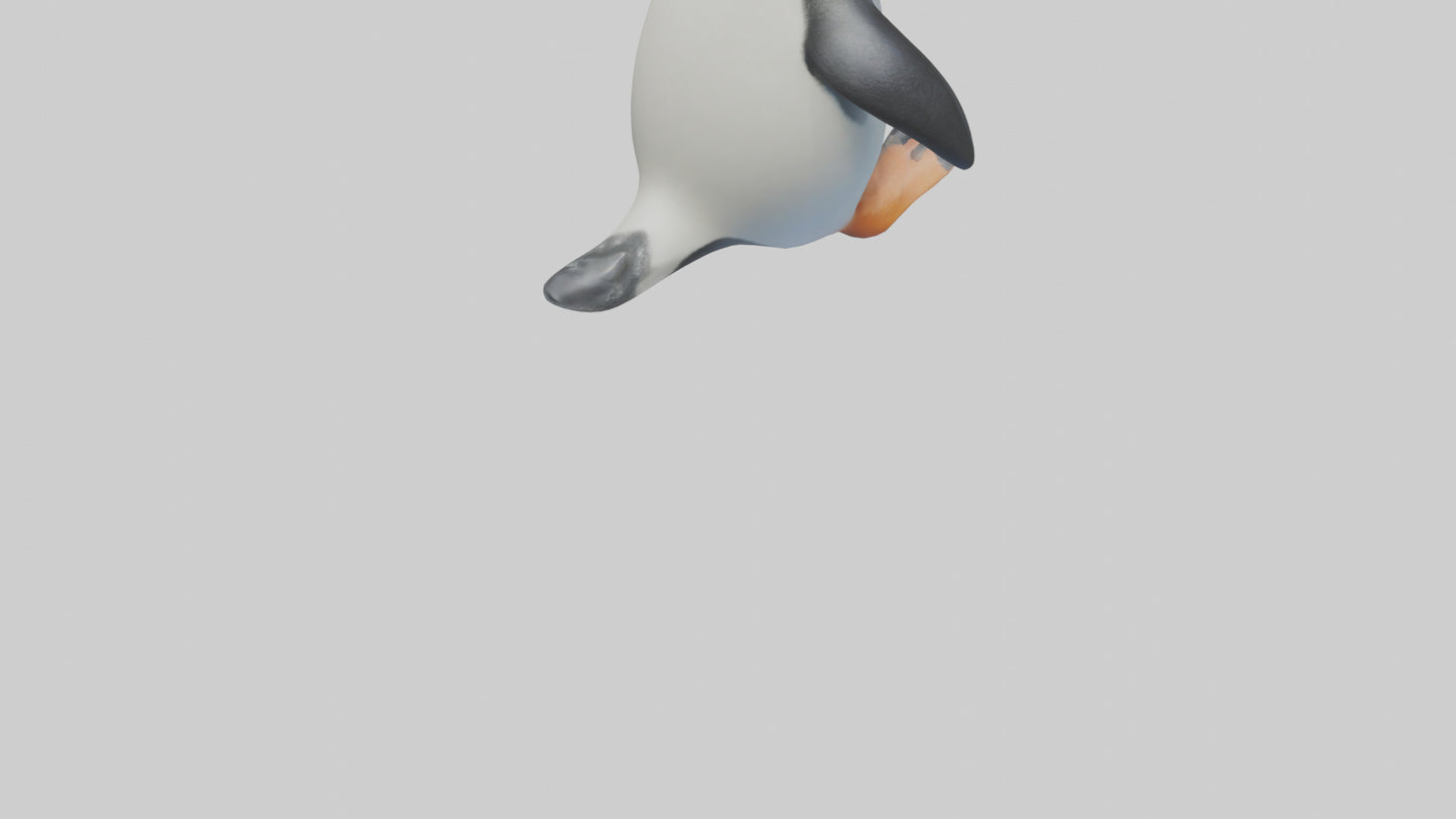 3D model Penguin waddling model VR / AR / low-poly