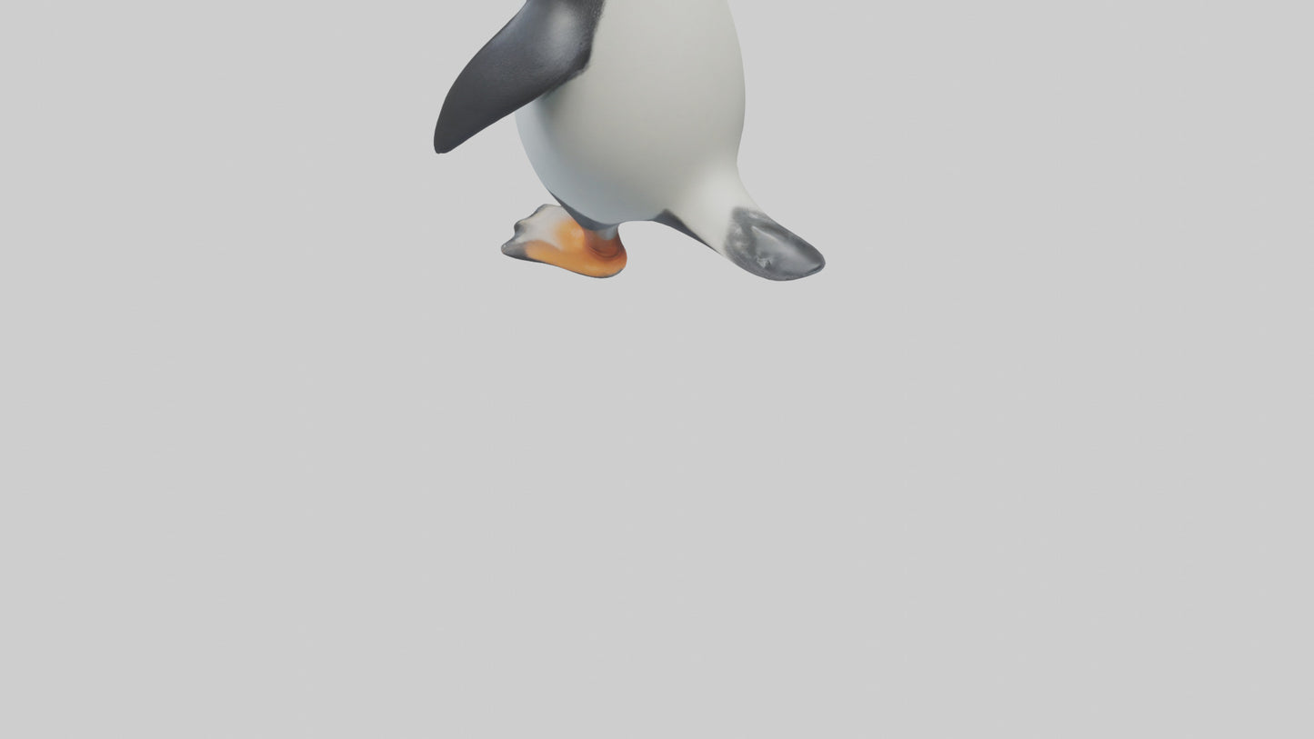 3D model Penguin waddling model VR / AR / low-poly