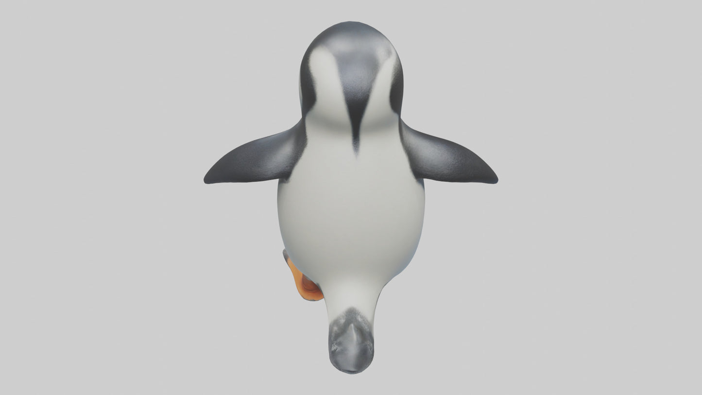 3D model Penguin waddling model VR / AR / low-poly