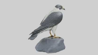 Peregrine Falcon statue model VR / AR / low-poly