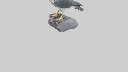 Peregrine Falcon statue model VR / AR / low-poly
