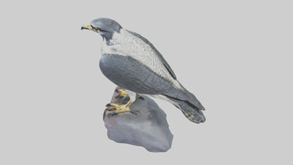 Peregrine Falcon statue model VR / AR / low-poly