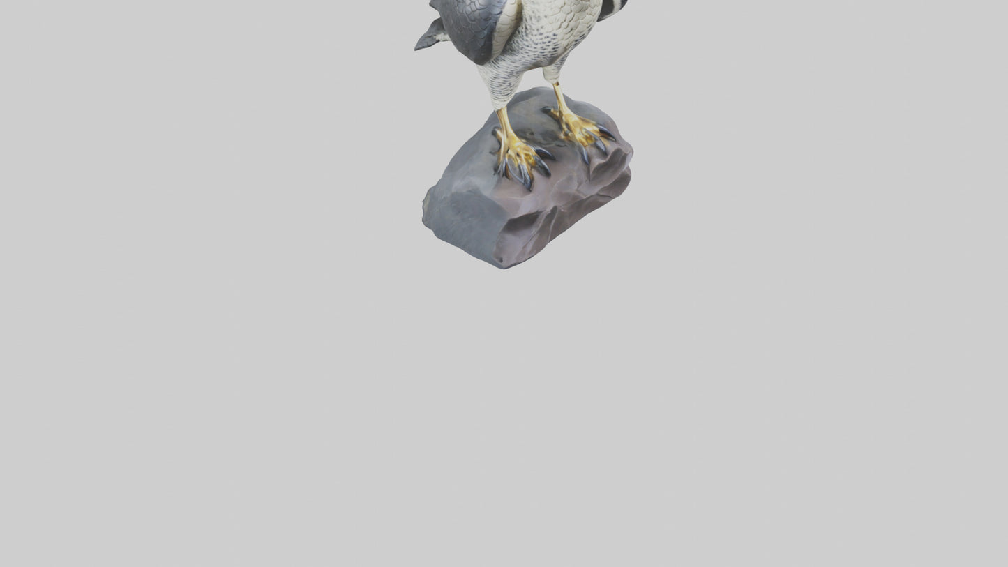 Peregrine Falcon statue model VR / AR / low-poly
