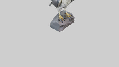 Peregrine Falcon statue model VR / AR / low-poly